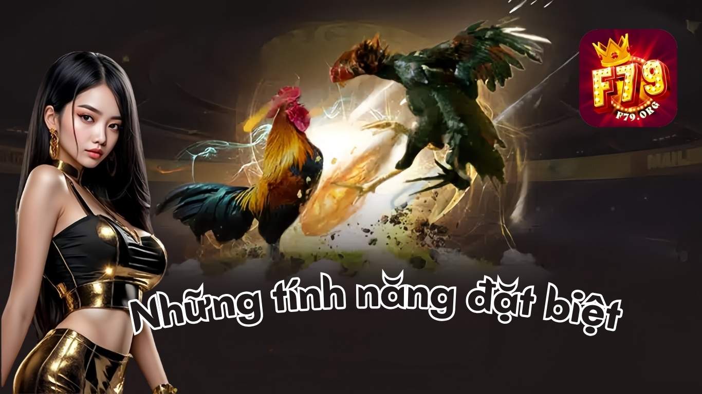 Đá Gà F79: Sảnh Chơi Sôi Động, Cơ Hội Cược Hấp Dẫn 2026 Đá Gà F79: Sảnh Chơi Sôi Động, Cơ Hội Cược Hấp Dẫn 2026