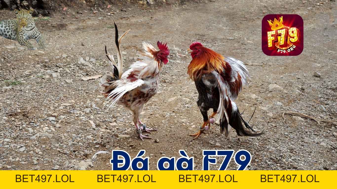 F79 | GAME BÀI ĐỔI THƯỞNG UY TÍN - ĐĂNG KÝ CHÍNH THỨC +79k